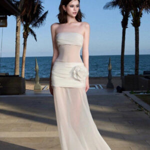 Solid Sheer Mesh Bandeau Maxi Dress